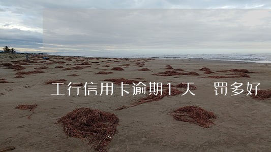 工行信用卡逾期1天 罚多好 工行信用卡逾期1天 罚多好